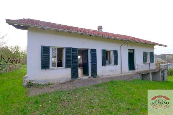 rif 1504(Copy42).jpg