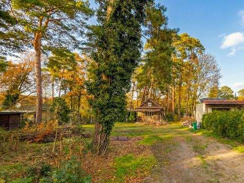 Rangsdorf Grundstücke, Rangsdorf Grundstück kaufen