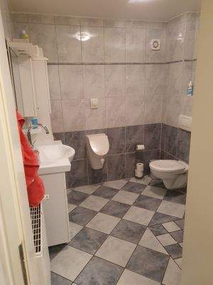EG Gäste-WC/Duschbad