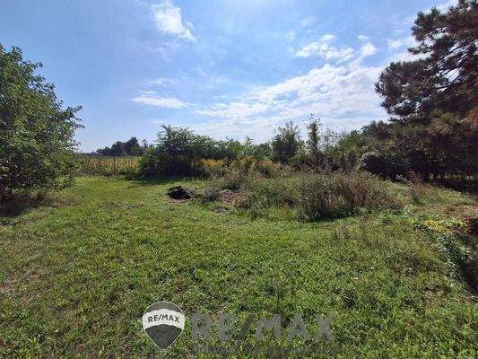 5 Grünland 1220 Breitenlee