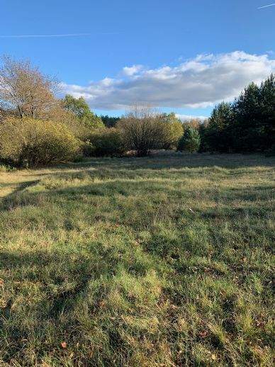 Godendorf Renditeobjekte, Mehrfamilienhäuser, Geschäftshäuser, Kapitalanlage
