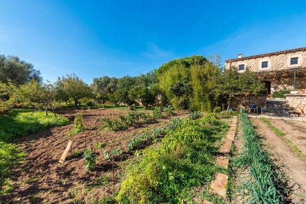 Großzügiger Gemüsegarten