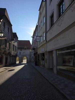 20251106_132233_resized