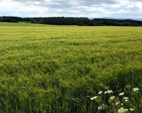 Ilmenau Bauernhöfe, Landwirtschaft, Ilmenau Forstwirtschaft