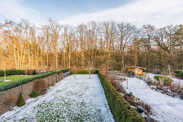 Spacious garden on the edge of the forest