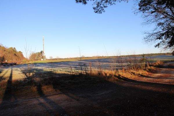 Feldblick hinter dem Grundstück.