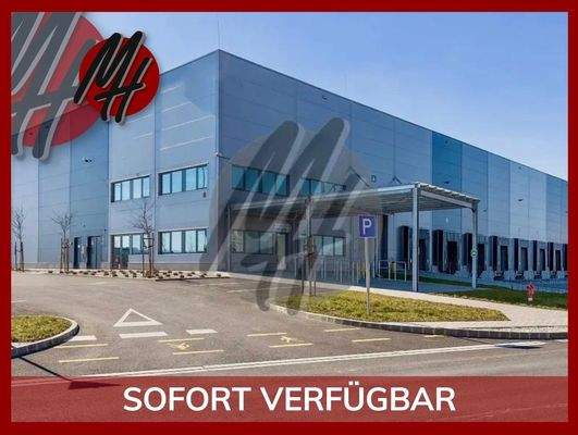 INFOS UNTER: 06171-586000