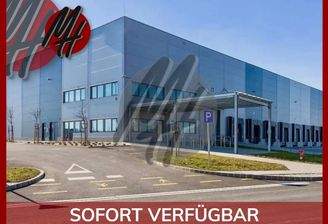 INFOS UNTER: 06171-586000