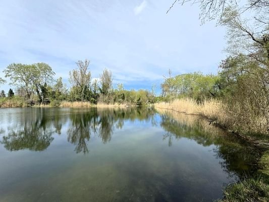 Ufer des Mühlwassers nur 20m v.d.Einfahrt entfernt