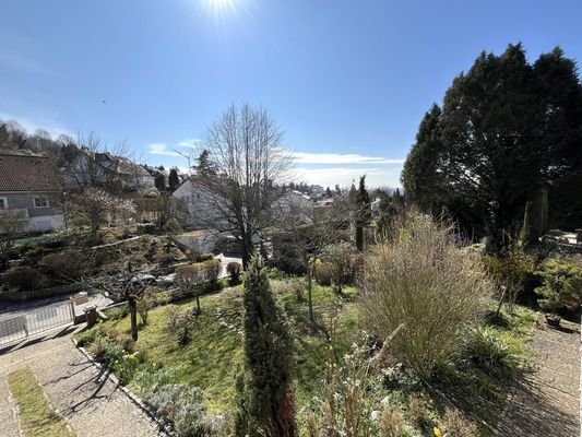Blick zum Garten