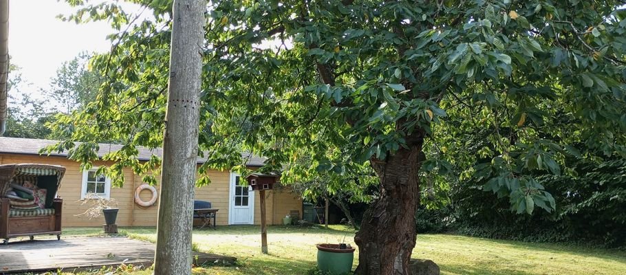 8947PE-06 Sommerbild