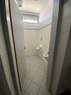 Bild6.jpg
