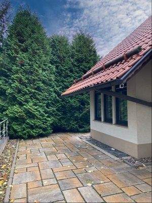 großer Terrassenbereich hinter dem Haus