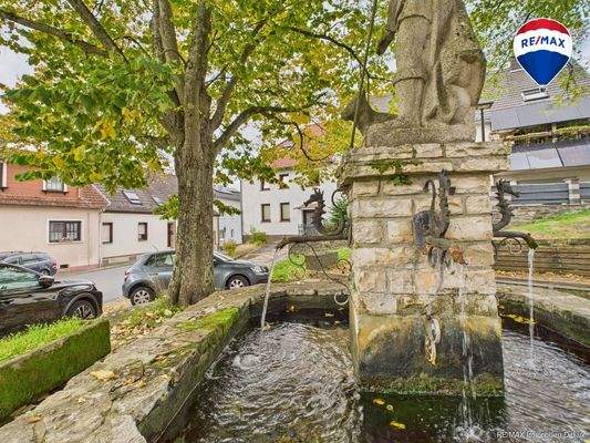 REMAX Immobilien DeLux Einfamilienhau Frontansicht Bebelsheim Mark Borowicz