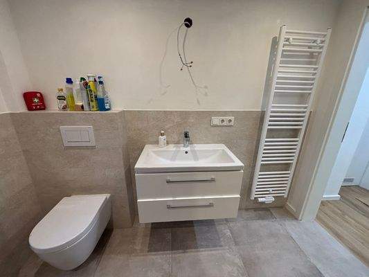 Teilansicht vom Badezimmer im Erdgeschoss.jpeg