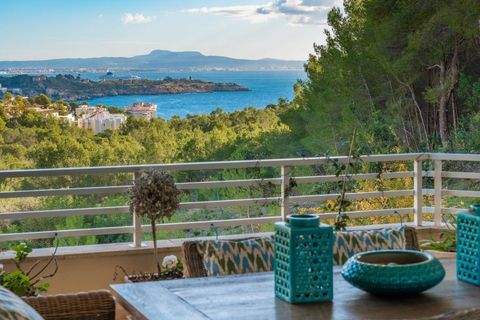 Calvi? Wohnungen, Calvi? Wohnung kaufen