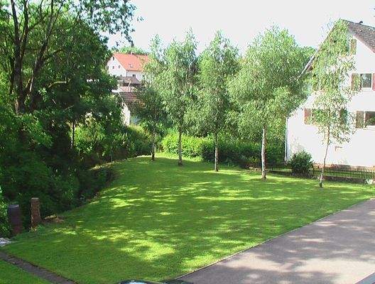 4c. Blick aufs Grundstück (Richtung Bachufer).JPG