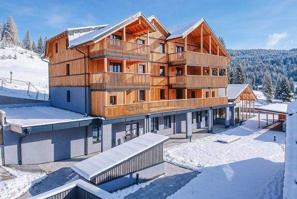 Schneevisualisierung 3