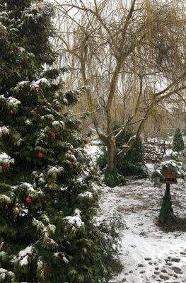 Blick aus dem Wohnzimmer Wohnung 1