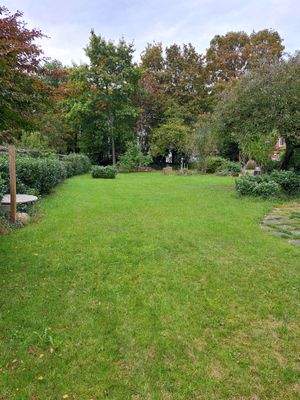 Blick in den Garten.jpg