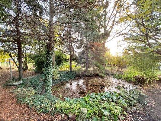 Teich auf dem Grundstück