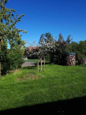 Impressionen Sommer25 (1).JPG