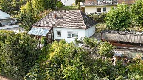 Niederzissen Häuser, Niederzissen Haus kaufen