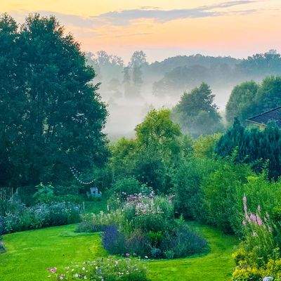 8. Blick ins Naturschutzgebiet im Sommer.jpg