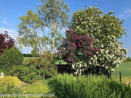 11-Südecke Grundstück.JPG