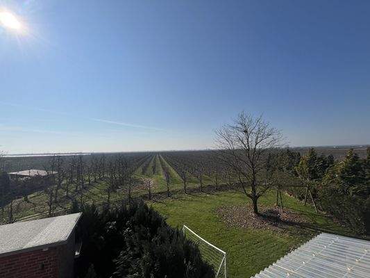 Aussicht Apfelfelder