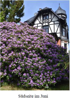 Südseite im Juni