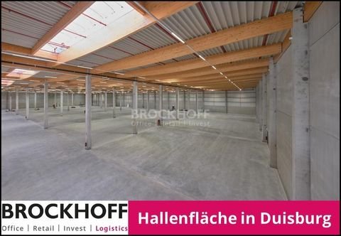 Duisburg Halle, Duisburg Hallenfläche