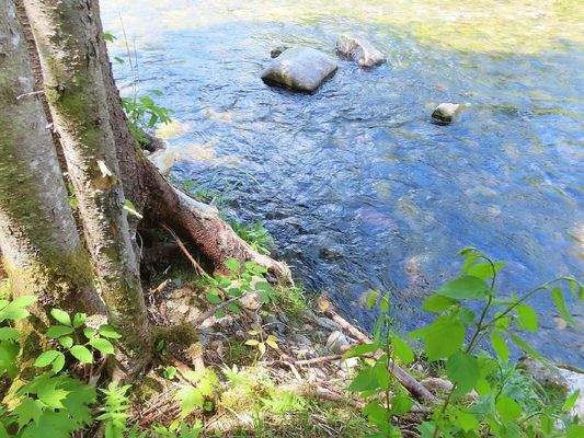 Cape Breton - Traumhaft schöne Naturlage am Middle
