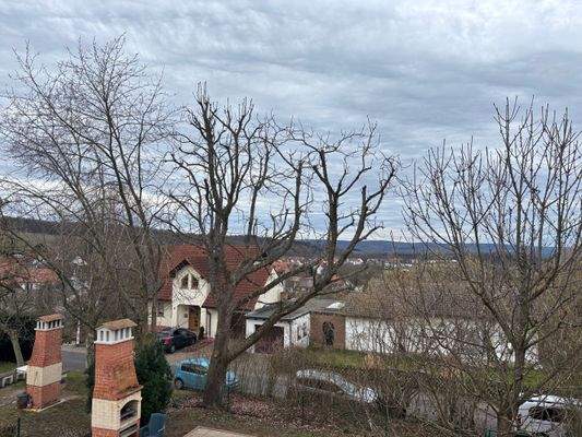 Aussicht Balkon EG II.jpg