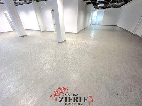 Göppingen Halle, Göppingen Hallenfläche