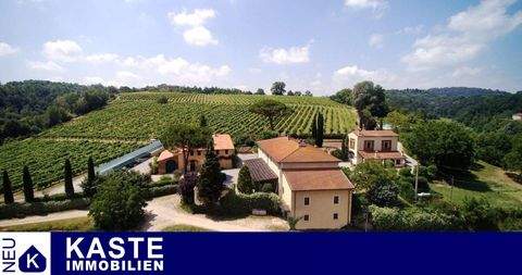 Montaione Häuser, Montaione Haus kaufen