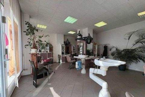 Zwickau Häuser, Zwickau Haus kaufen