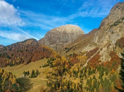 Paluzza Bauernhöfe, Landwirtschaft, Paluzza Forstwirtschaft