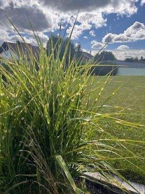 Großzügiges Grundstück