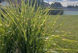 Großzügiges Grundstück