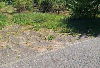 Blick auf das Wohngrundstück