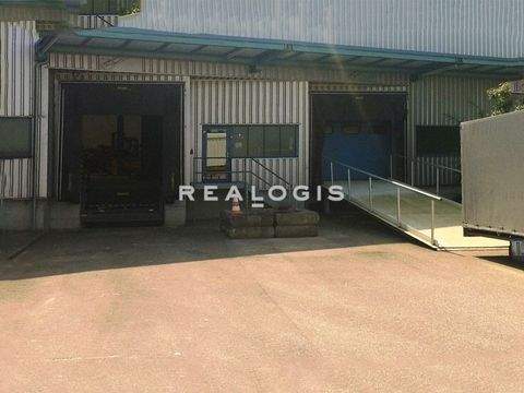 Aschheim Halle, Aschheim Hallenfläche