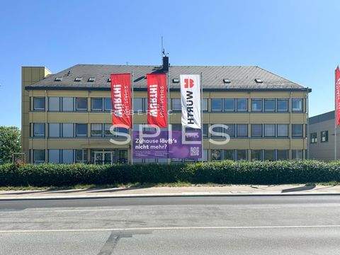 Hamburg Halle, Hamburg Hallenfläche