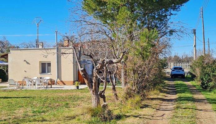 WhatsApp Image 2025-02-12 at 17.32.06 (29).jpeg