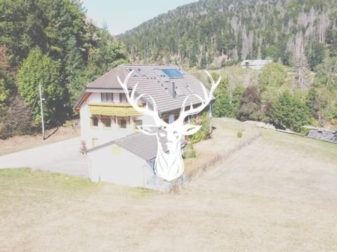 St. Blasien Häuser, St. Blasien Haus kaufen