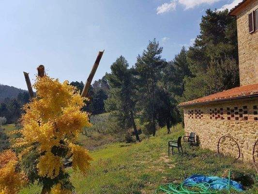 Natursteinhaus Panoramalage Toskana (81).jpg