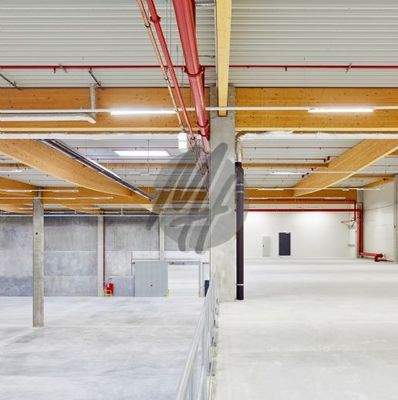 INFOS UNTER: 06171-586000