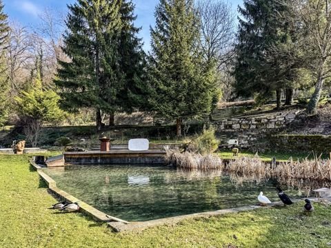 Aiguebelette le Lac Häuser, Aiguebelette le Lac Haus kaufen