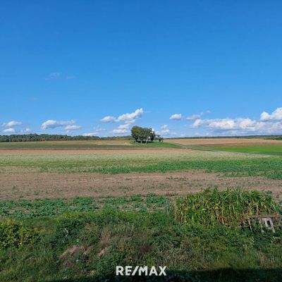 Sicht von der Terrasse aus in die Natur