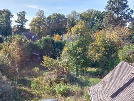 Blick ind den Garten mit Gerätehaus